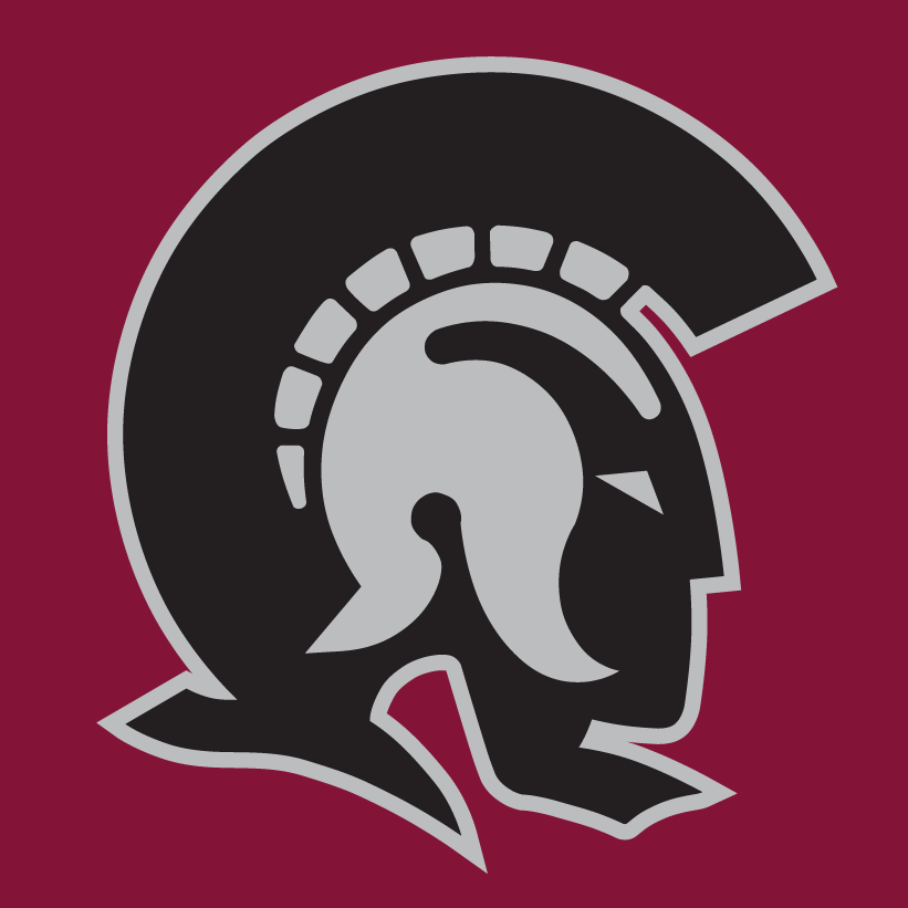 Arkansas-Little Rock Trojans 1997-Pres Alternate Logo v3 diy fabric transfer